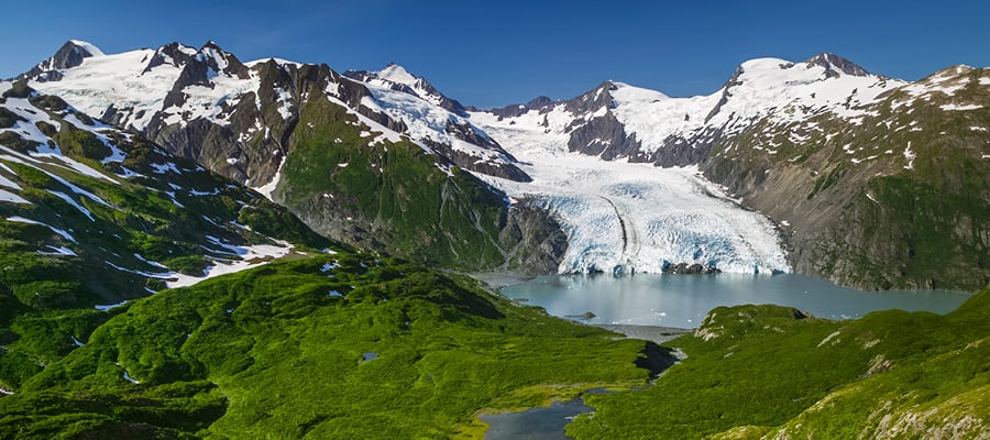 Observa el inmenso glaciar Portage en la península de Kenai.